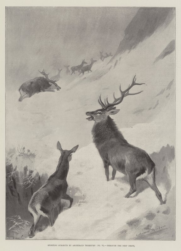 Sujeitos esportivos, através da Deriva Profunda de Archibald Thorburn