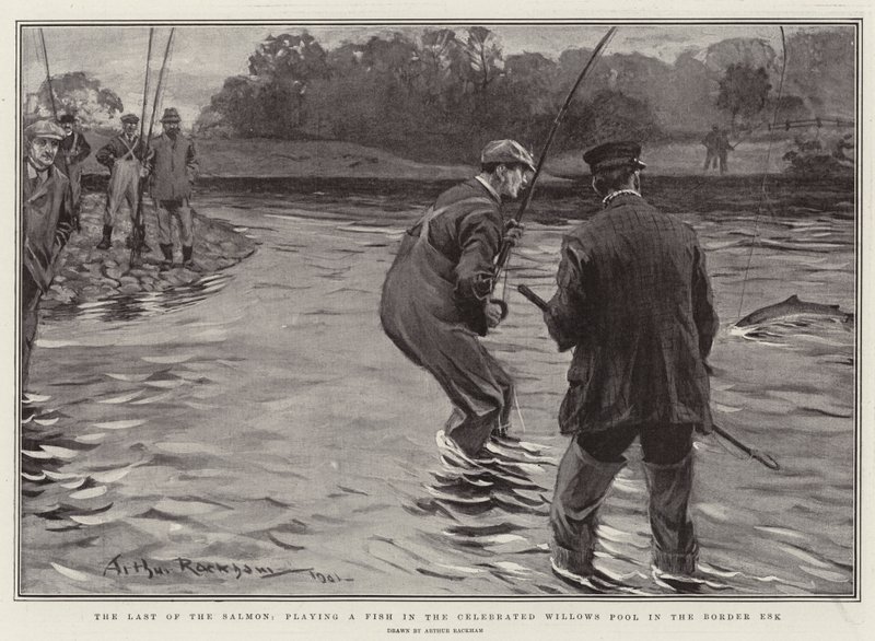O último do salmão, jogando um peixe na piscina de salgueiros celebrada na fronteira Esk de Arthur Rackham