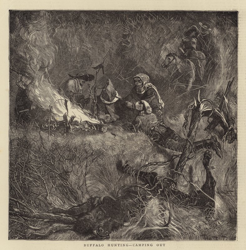 Caça ao Búfalo, acampando de Arthur Boyd Houghton