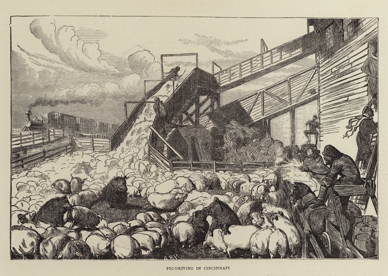 Pig-condução em Cincinnati de Arthur Boyd Houghton