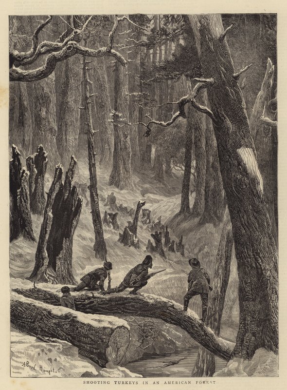 Tiro de perus em uma floresta americana de Arthur Boyd Houghton