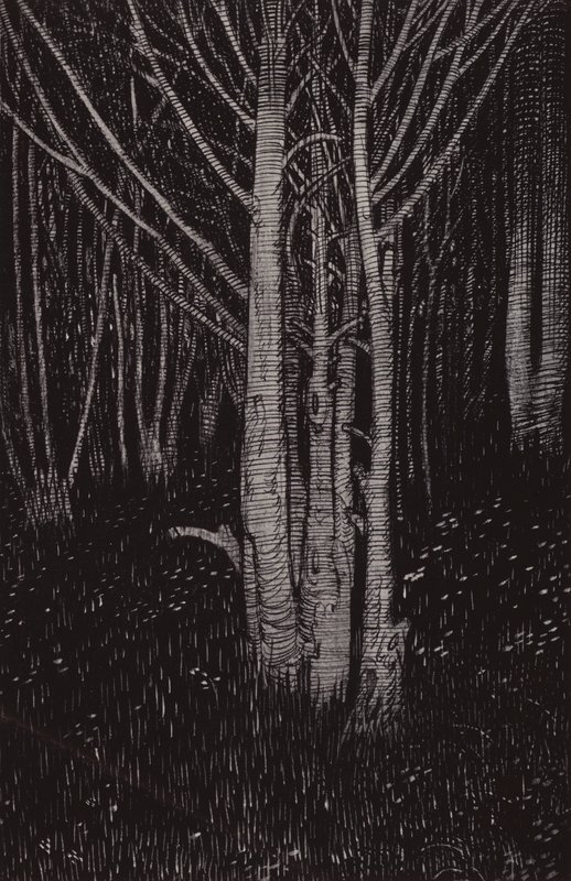 Mydnyght era esperma (litho) de Arthur George Watts