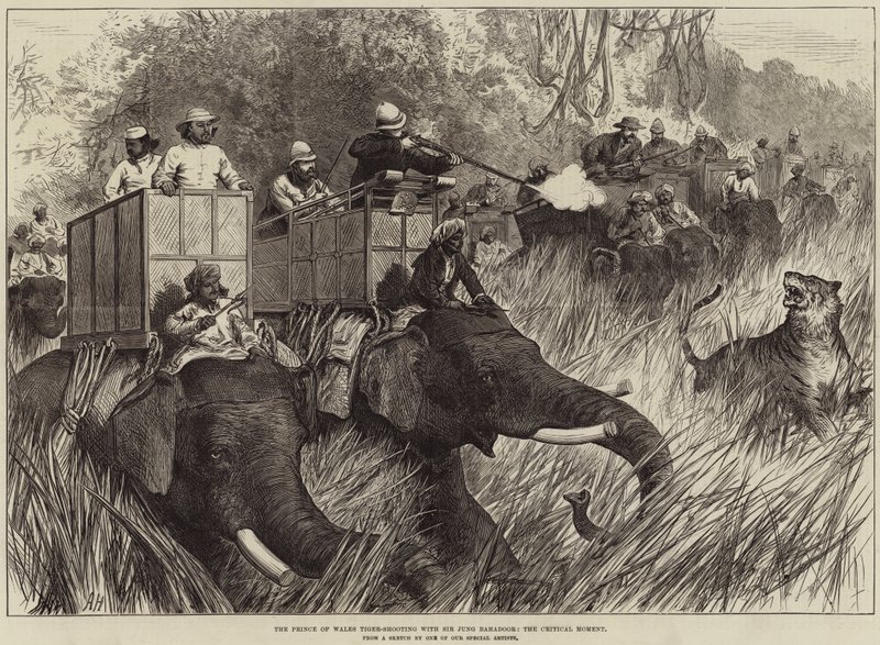 O Príncipe de Gales Tiro ao Tigre com Sir Jung Bahadoor, o Momento Crítico de Arthur Hopkins