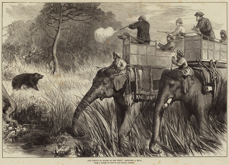 O Príncipe de Gales no Terai, atirando um urso de Arthur Hopkins