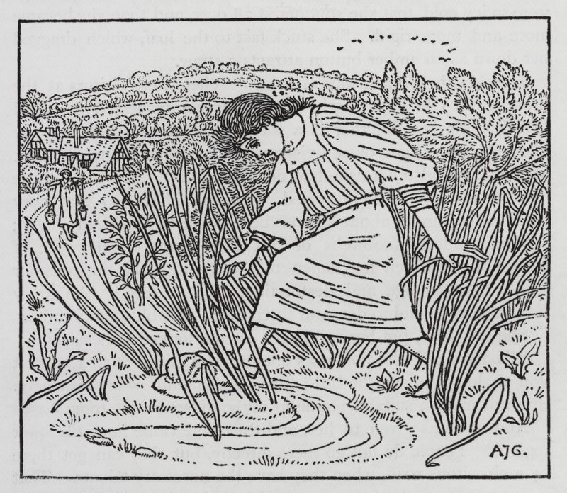 Hans Christian Andersen: A rapariga que pisou no pão (litho) de Arthur Joseph Gaskin