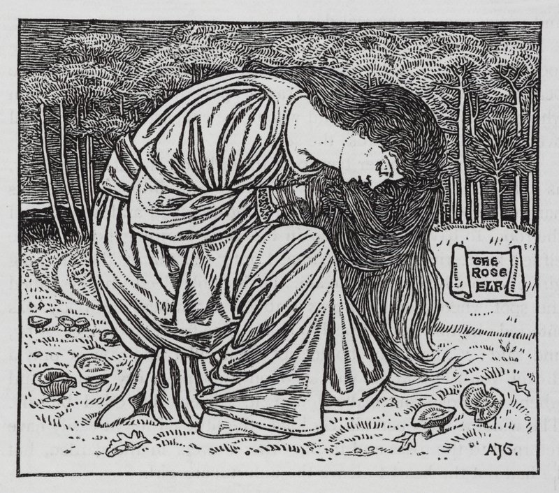 Hans Christian Andersen: O Elfo Rosa (litho) de Arthur Joseph Gaskin