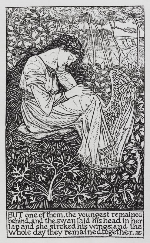 Hans Christian Andersen: Os Cisnes Selvagens (litho) de Arthur Joseph Gaskin