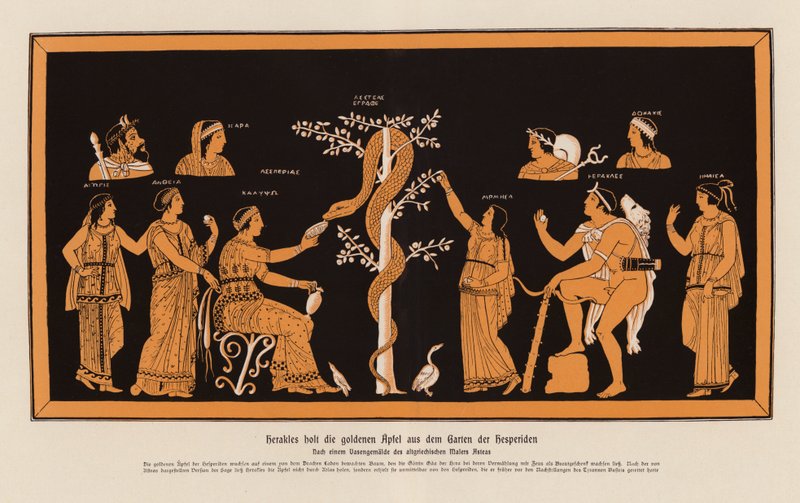 Héracles roubando as maçãs de ouro do Jardim das Hespérides (litografia a cores) de Asteas Asteas