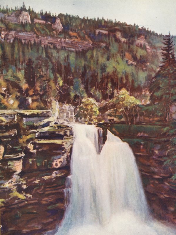 França: Le Saut Du Doubs (litografia a cores) de Auguste Gerardin
