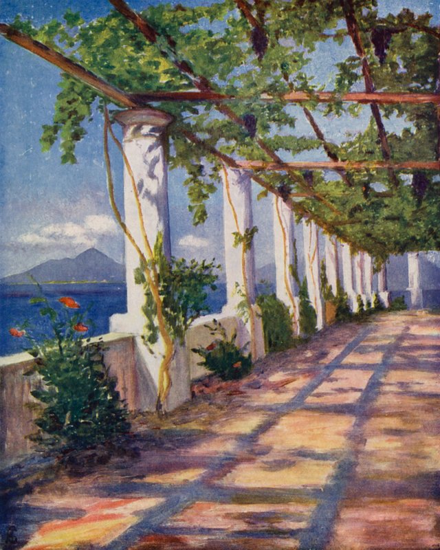 Pérgola (litografia a cores) de Augustine Fitzgerald