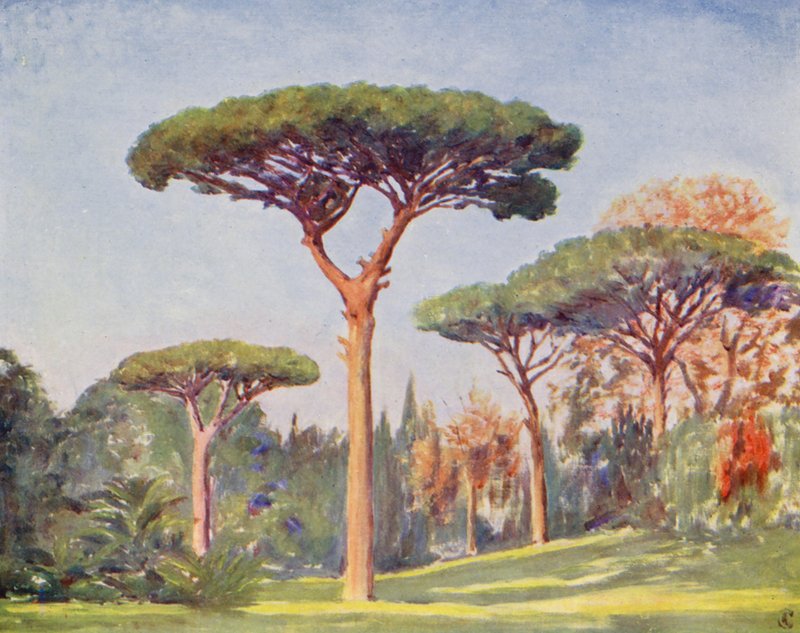 Rock Pines, Villa Floridiana (litografia a cores) de Augustine Fitzgerald