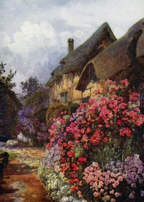Phloxes e altos padrões de Dorothy Perkins Rose na casa de campo de Ann Hathaway, Stratford-on-Avon (lito colorido) de Augustus Charles Wyatt
