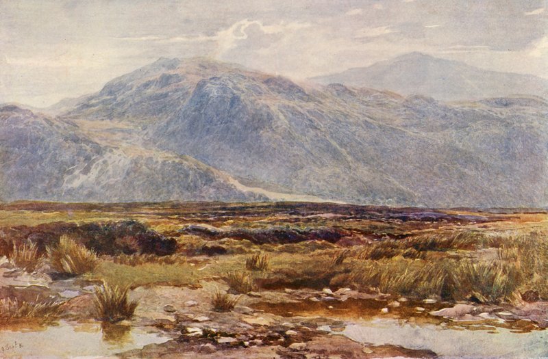 Cader Idris (litografia a cores) de Augustus Watford Weedon