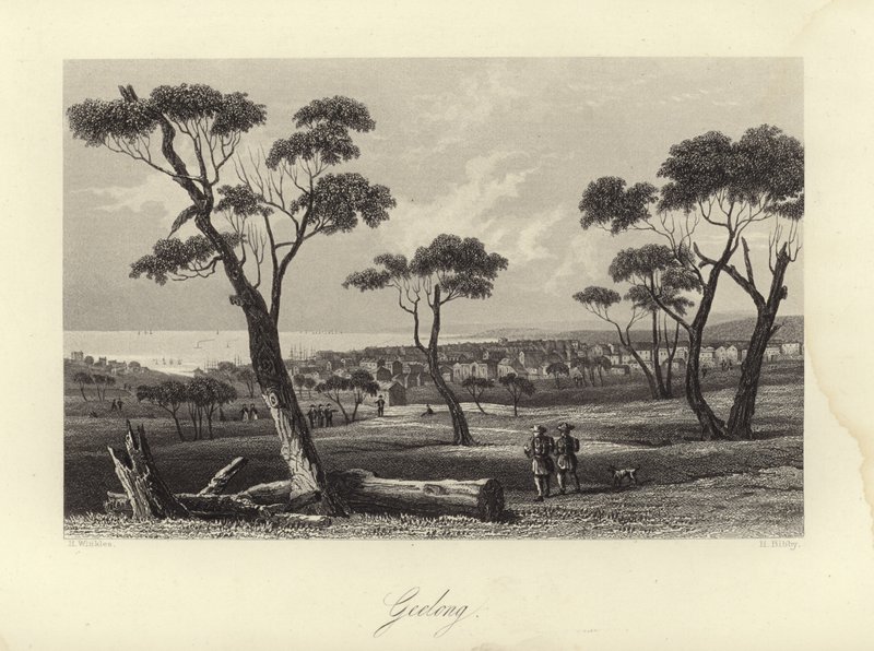 Geelong de Australian School