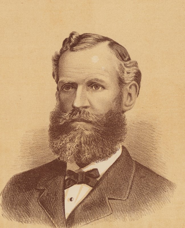 O Honorável George Henry Cox (litografia a cores) de Australian School