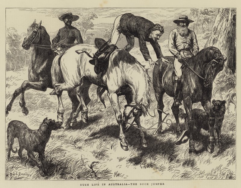Bush Life na Austrália, o Buck Jumper de Basil Bradley