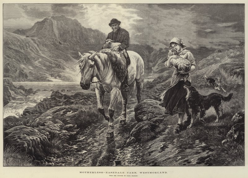 Sem Mãe, Easedale Tarn, Westmorland de Basil Bradley