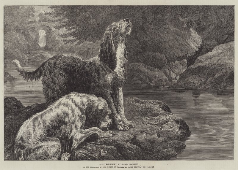Otter-Hounds de Basil Bradley