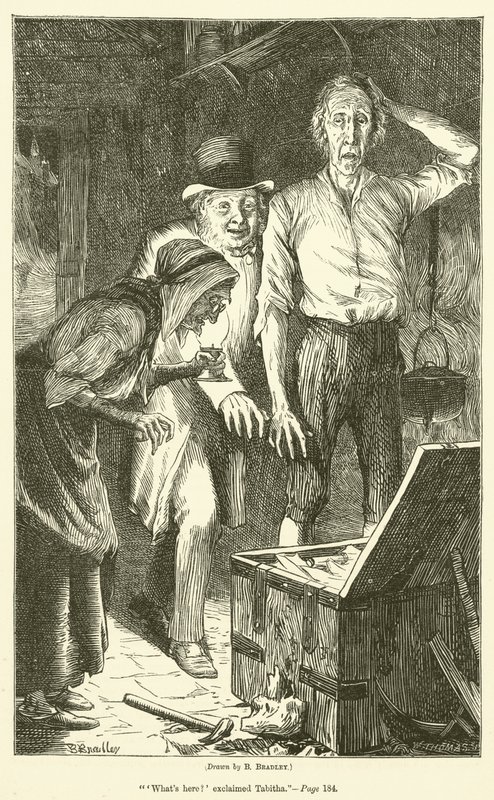 Tesouro de Peter Goldthwaites de Basil Bradley