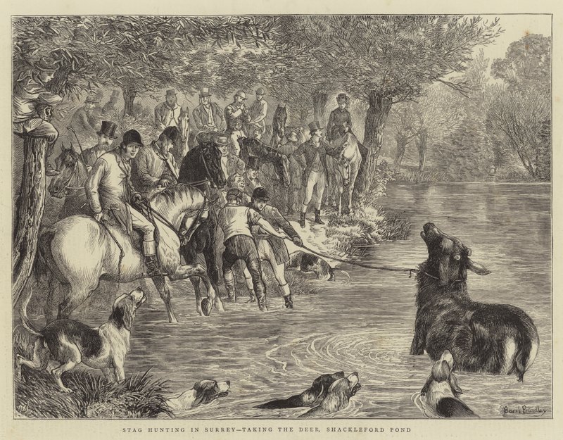 Caça ao veado em Surrey, tomando o cervo, Shackleford Pond de Basil Bradley