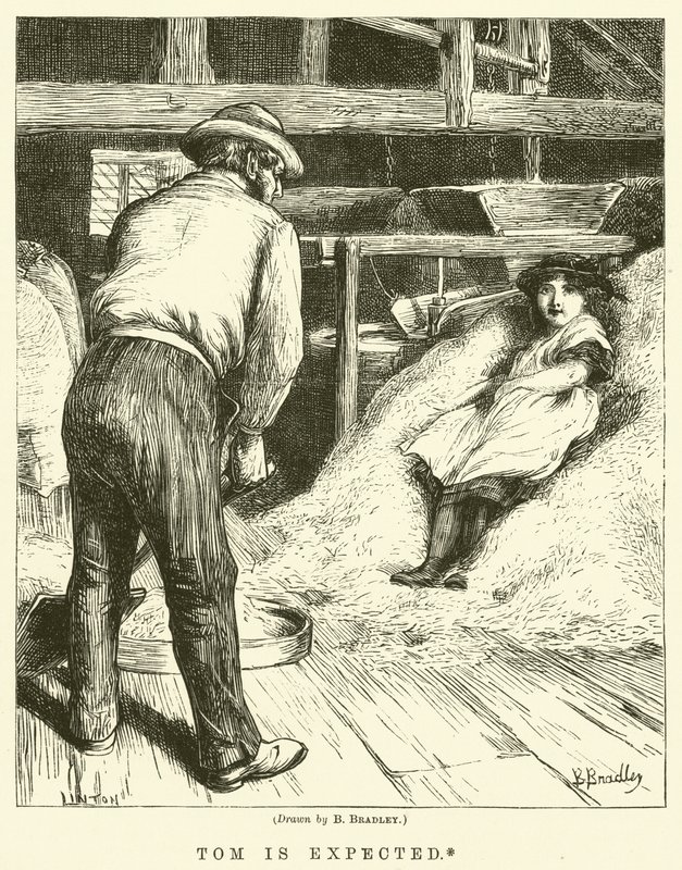 Tom é esperado de Basil Bradley