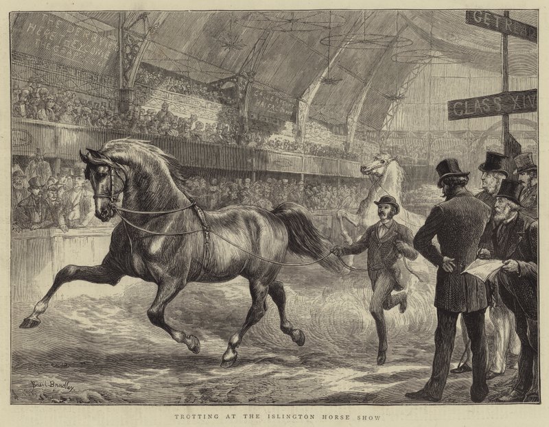 Trotar no Islington Horse Show de Basil Bradley