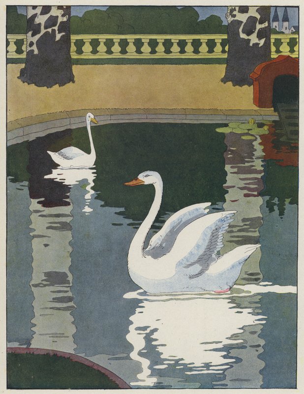 Cisnes de Benjamin Rabier