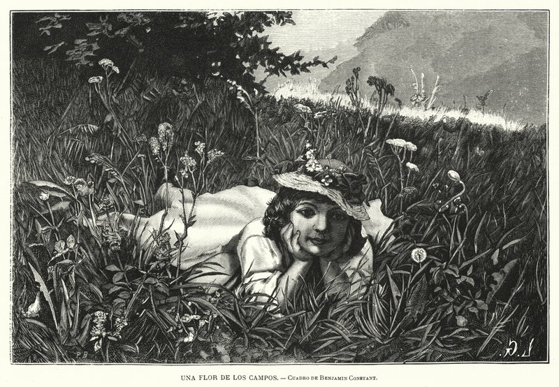 Uma flor dos campos (litho) de Benjamin  Constant
