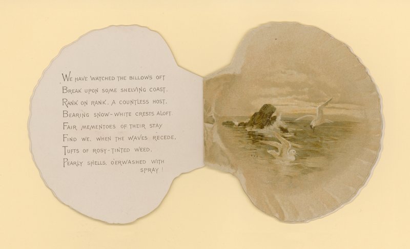 Ilustração para folheto intitulado Sea Shells (cor litho) de Benjamin D. Sigmund