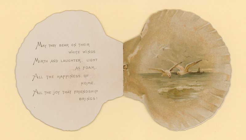 Ilustração para folheto intitulado Sea Shells (cor litho) de Benjamin D. Sigmund