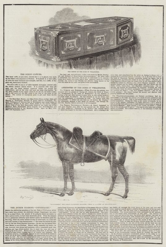 Duque de Wellington de Benjamin Herring