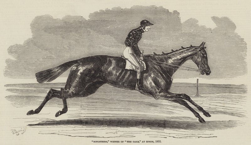 Cantora, Vencedor do The Oaks, na Epsom, 1852 de Benjamin Herring
