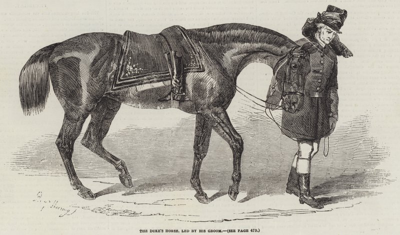 O cavalo do duque, liderado por seu noivo de Benjamin Herring
