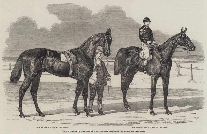 Os vencedores do Derby e dos Oaks de Benjamin Herring
