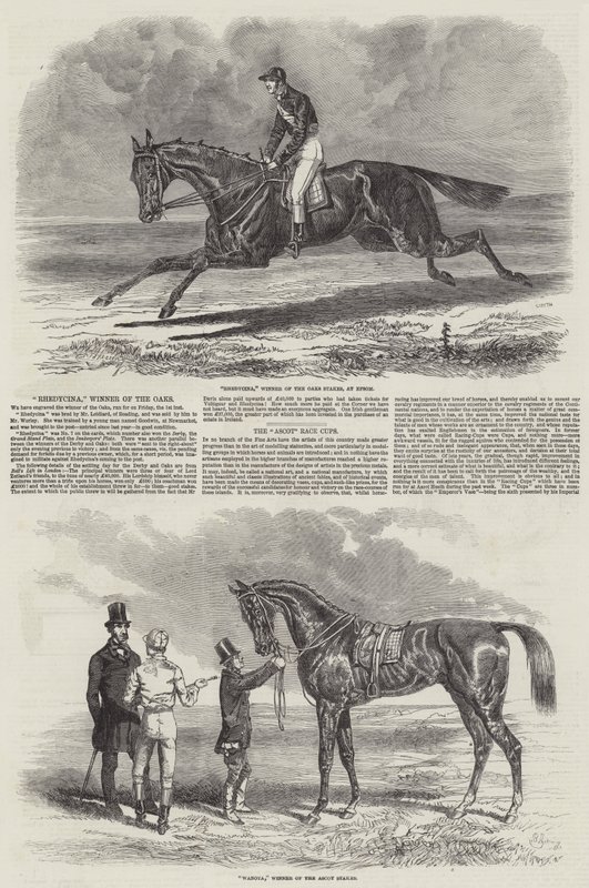 Cavalos de corrida vencedores de Benjamin Herring