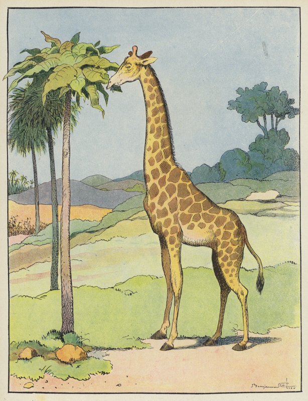 Girafa de Benjamin Rabier