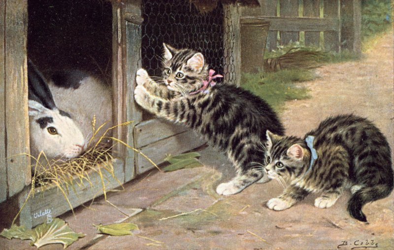 Postal de gato (litografia a cores) de Bernard Cobbe