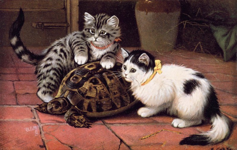 Postal de gato (litografia a cores) de Bernard Cobbe