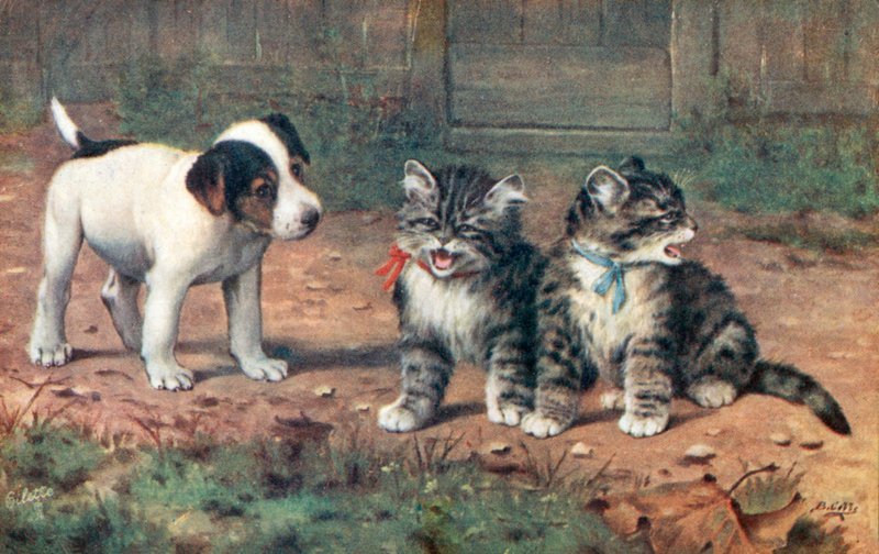 Postal de gato (litografia a cores) de Bernard Cobbe