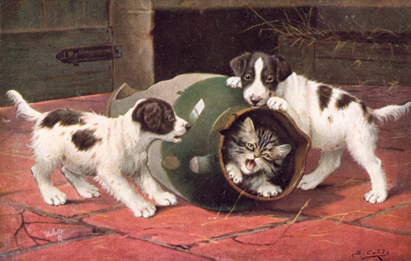 Postal de gato (litografia a cores) de Bernard Cobbe