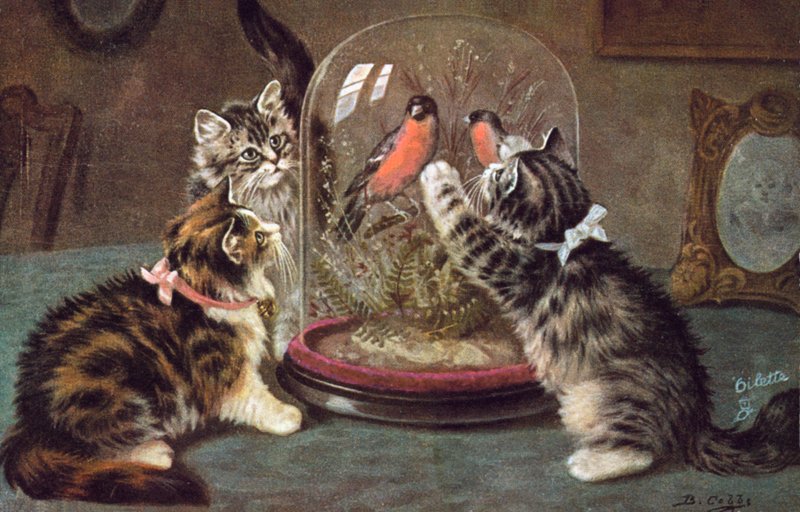 Postal de gato (litografia a cores) de Bernard Cobbe