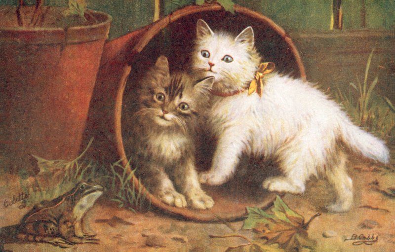Postal de gato (litografia a cores) de Bernard Cobbe