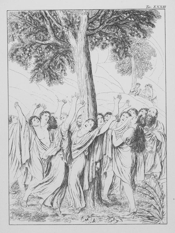 Divina Comédia de Dante, Purgatorio (Purgatório), Placa XXXIII (litografia) de Bernhard Schuler