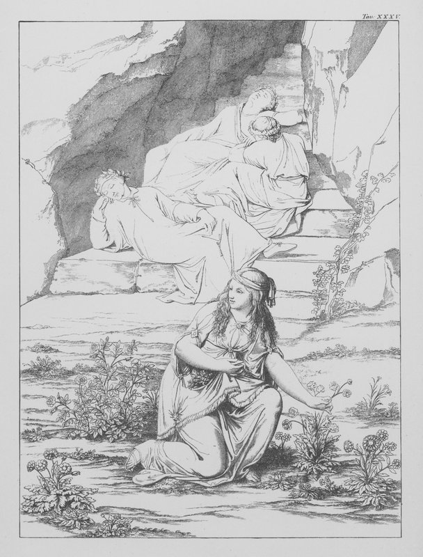 Divina Comédia de Dante, Purgatorio (Purgatório), Placa XXXV (litografia) de Bernhard Schuler