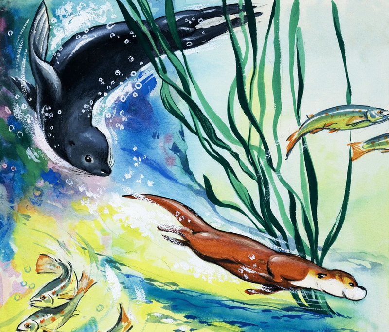 Fliptail, a lontra; de Bert Felstead