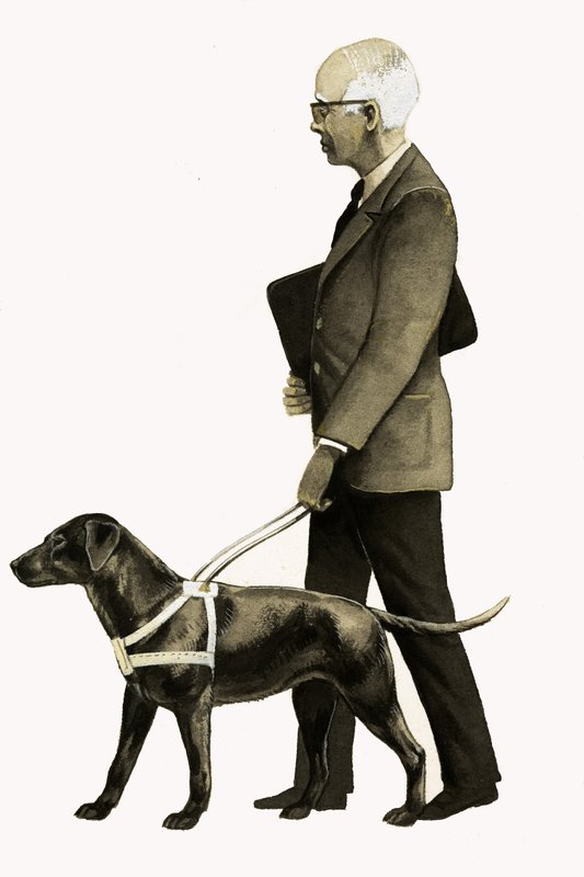 Cão-guia para cegos de Bob Hersey