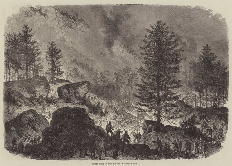 Grande incêndio na floresta de Fontainebleau de Burn Smeeton