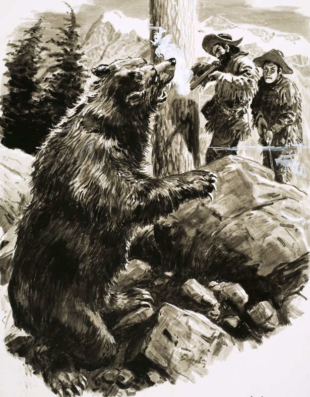 Urso pardo americano abatido por caçadores de C.L. Doughty