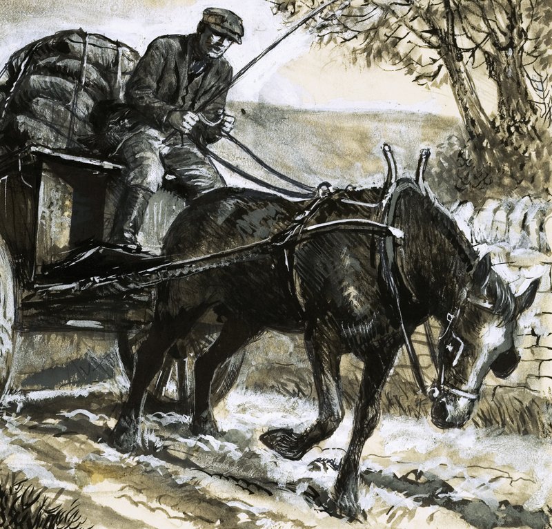 Os cavalos eram mal alimentados e sobrecarregados de trabalho de C.L. Doughty