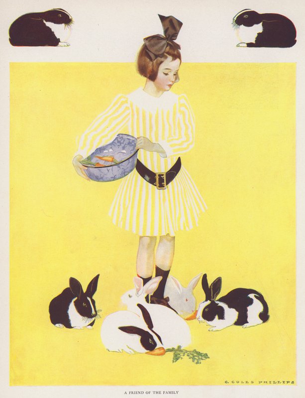 Coles Phillips Girl, uma Amiga da Família (color litho) de C. Coles Phillips